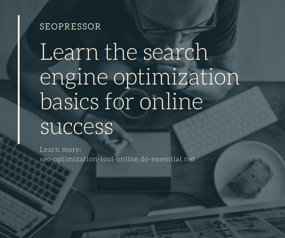 Search engine optimization basics